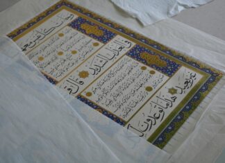 Amanos Dağları Endemik Türler Kuş Göçleri ve Yaban Hayatı