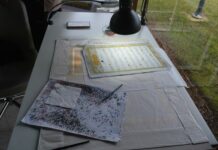 Amanoslar Göçmen Kuşların Stratejik Geçidi