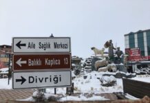 Aziz Paul Yılı ve Anma Etkinlikleri